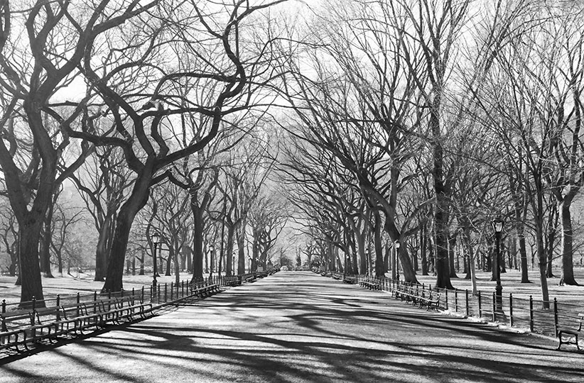 Fotomurales de 1 Modulo en Monterrey México