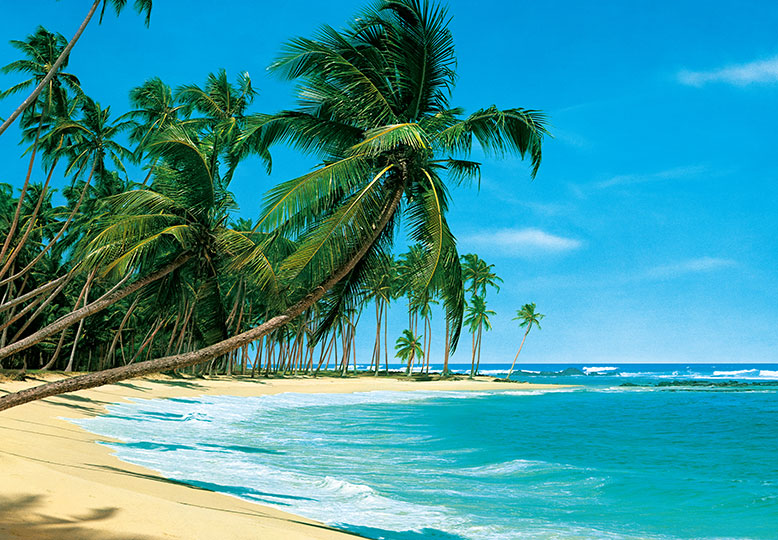 Fotomural de Playa Soleada