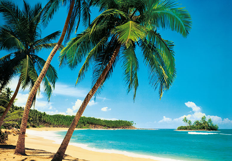 Fotomural Tropicale de Playa