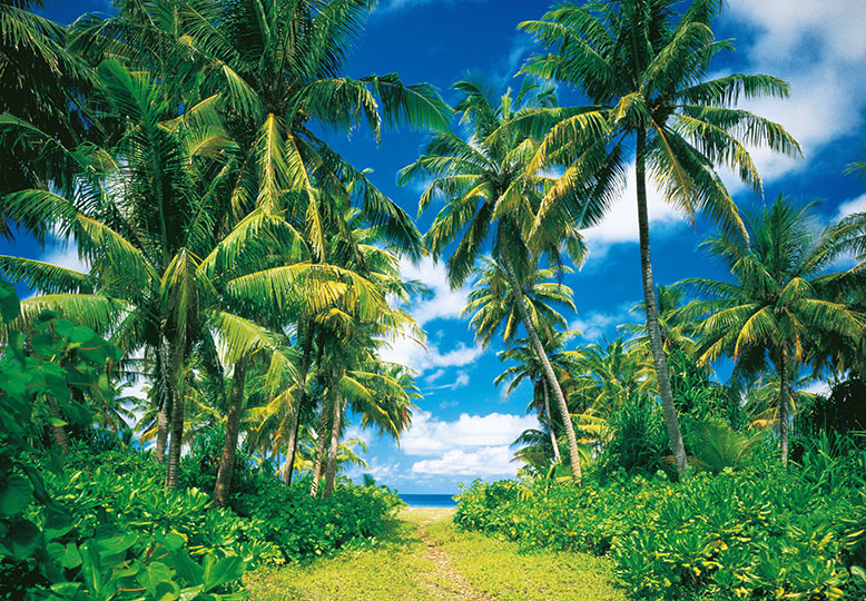 Fotomural Island in the Sun