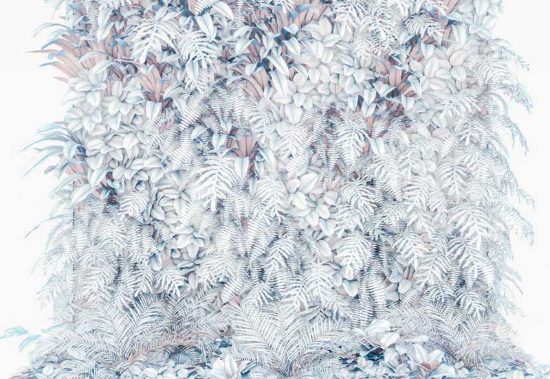 Fotomural personalizado