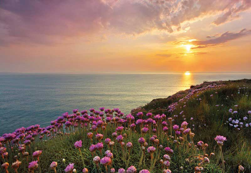 Fotomural personalizado