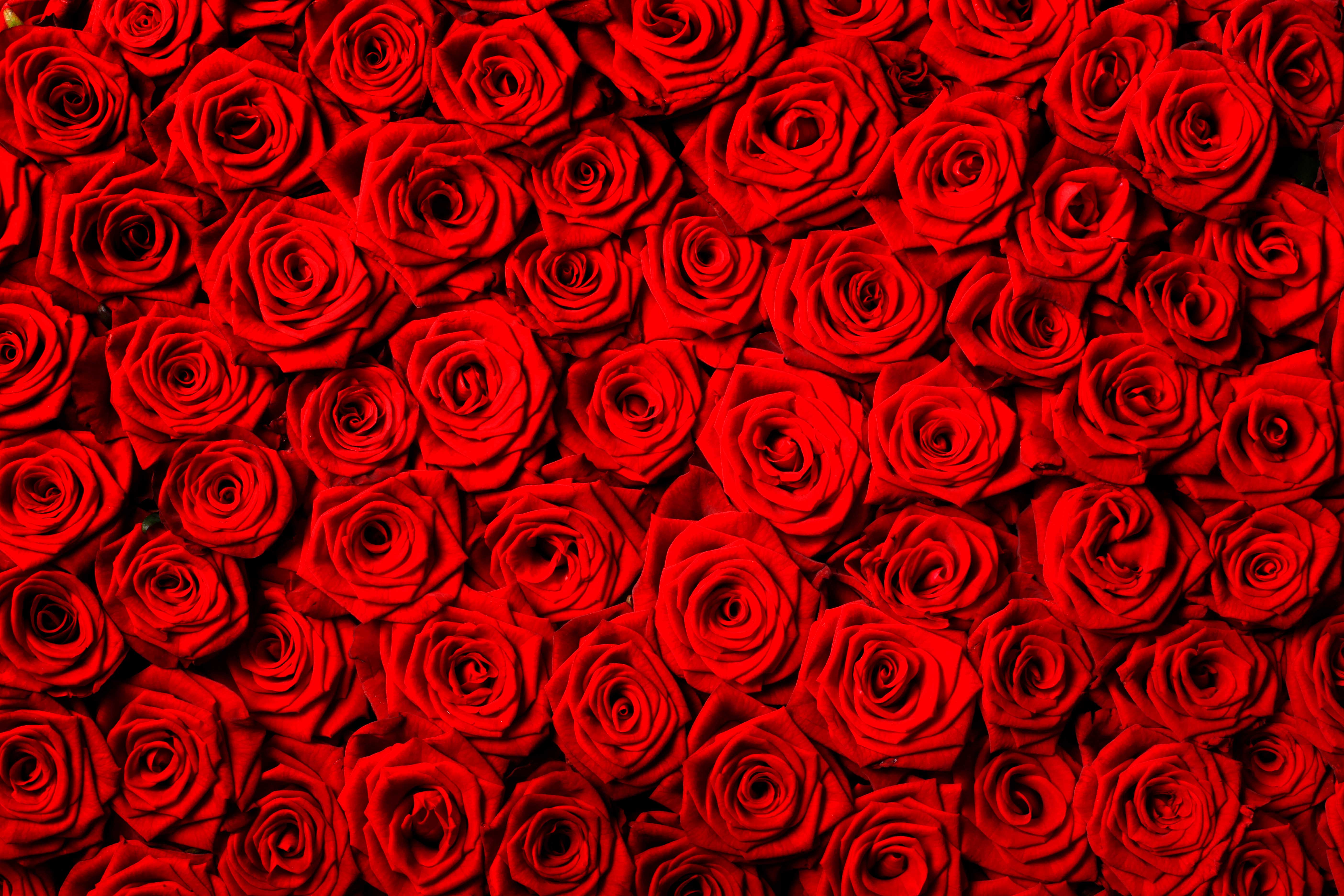 Mural Medida Personalizada