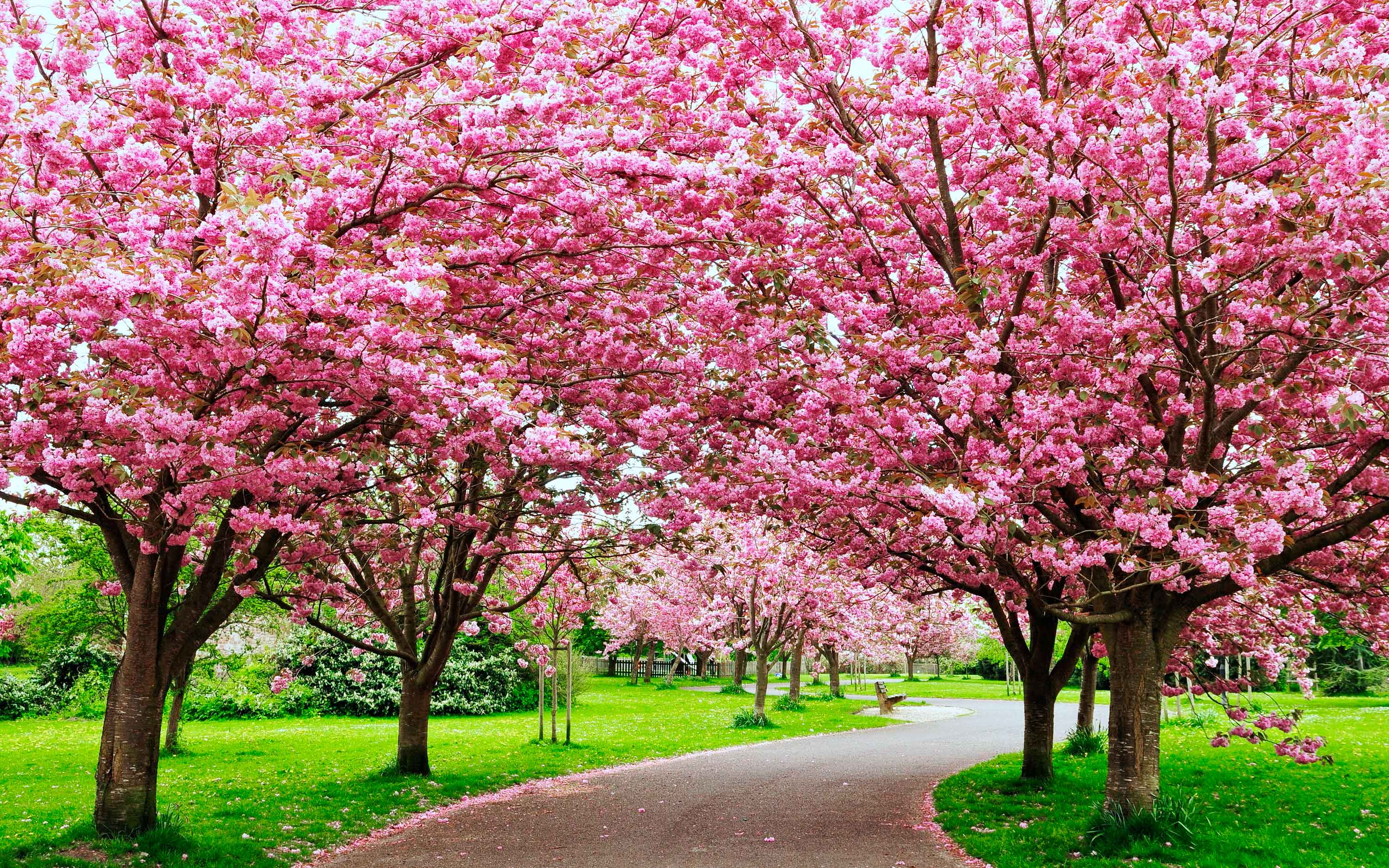 Mural Medida Personalizada