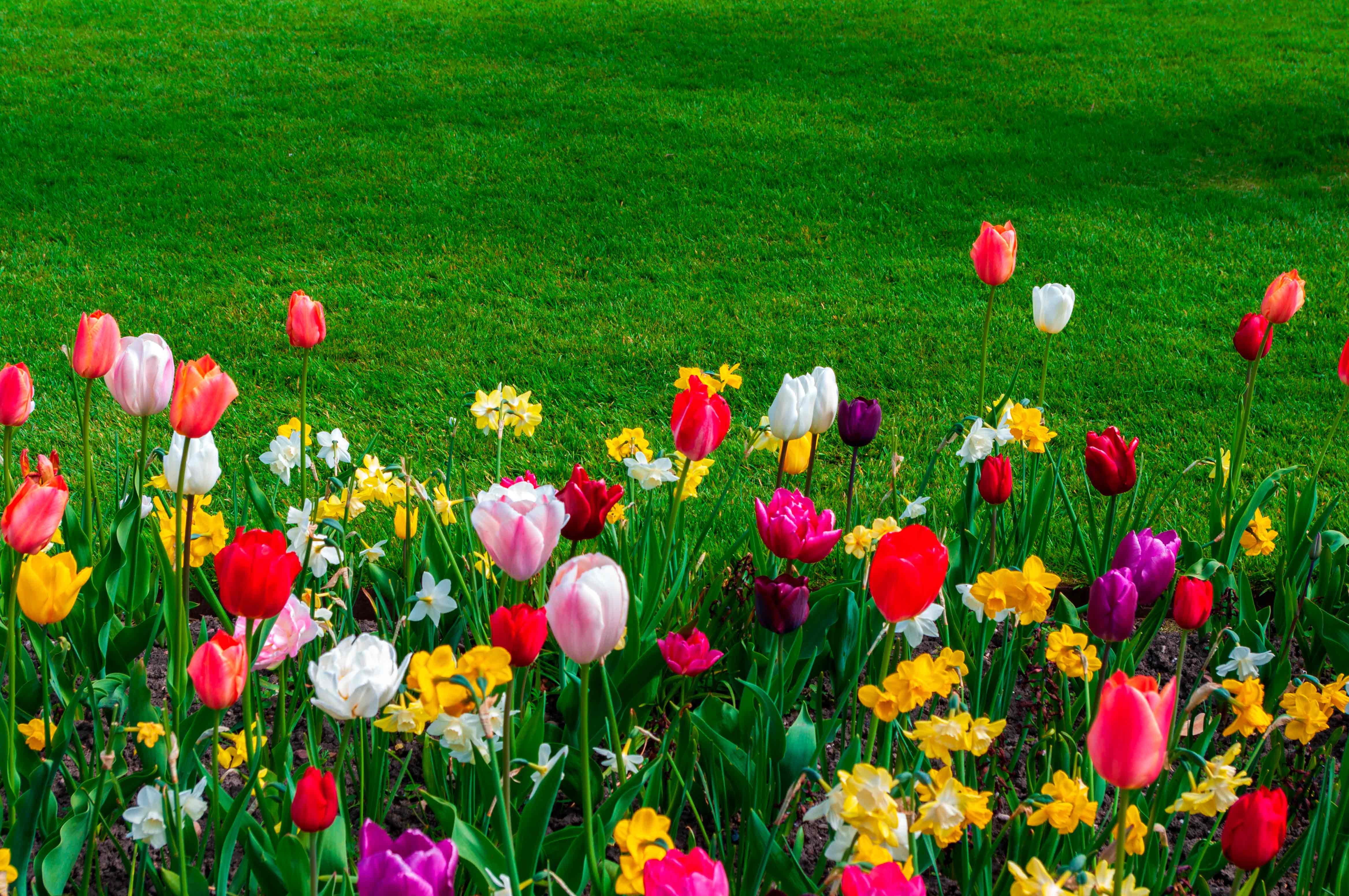 Mural Medida Personalizada