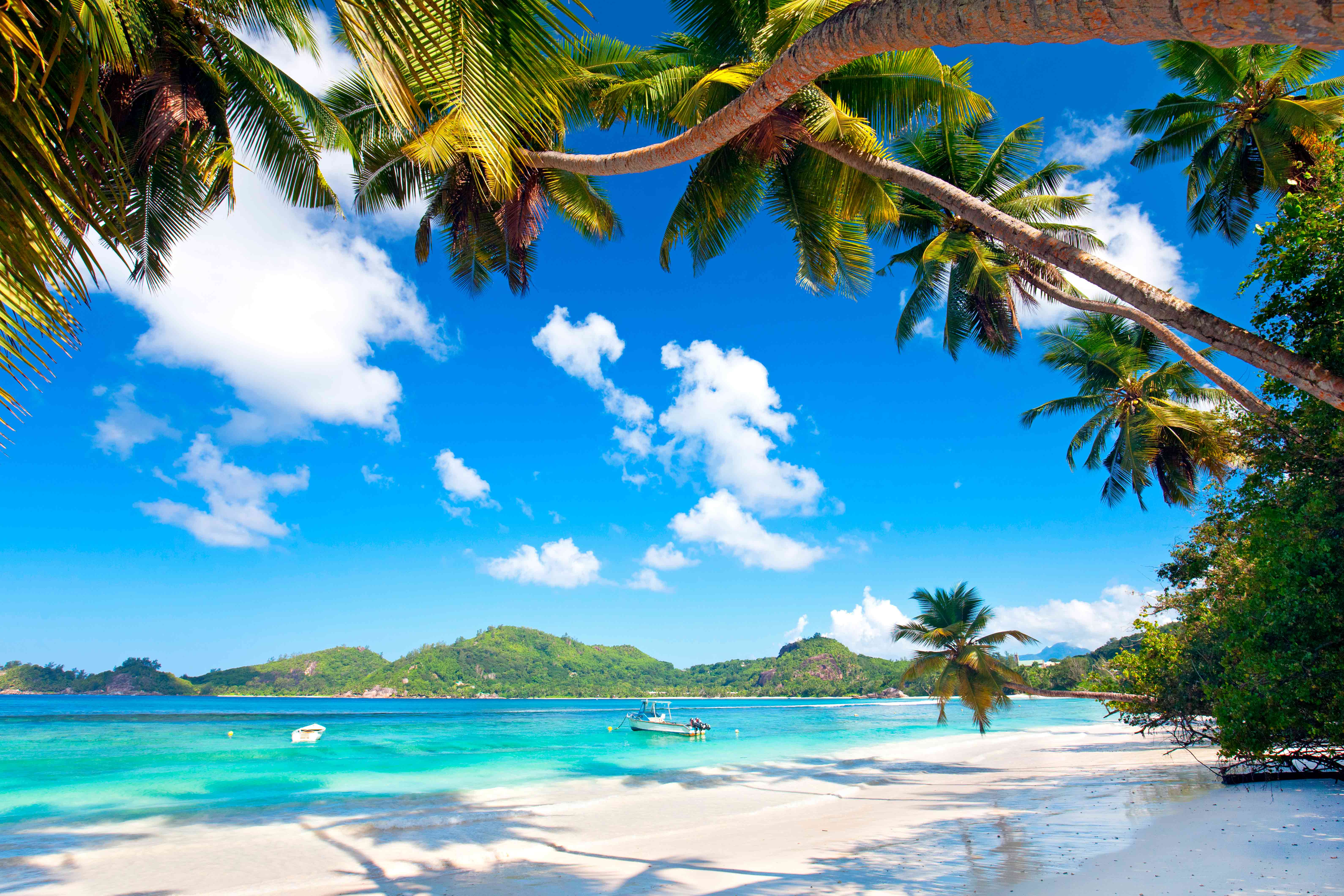 Mural Medida Personalizada