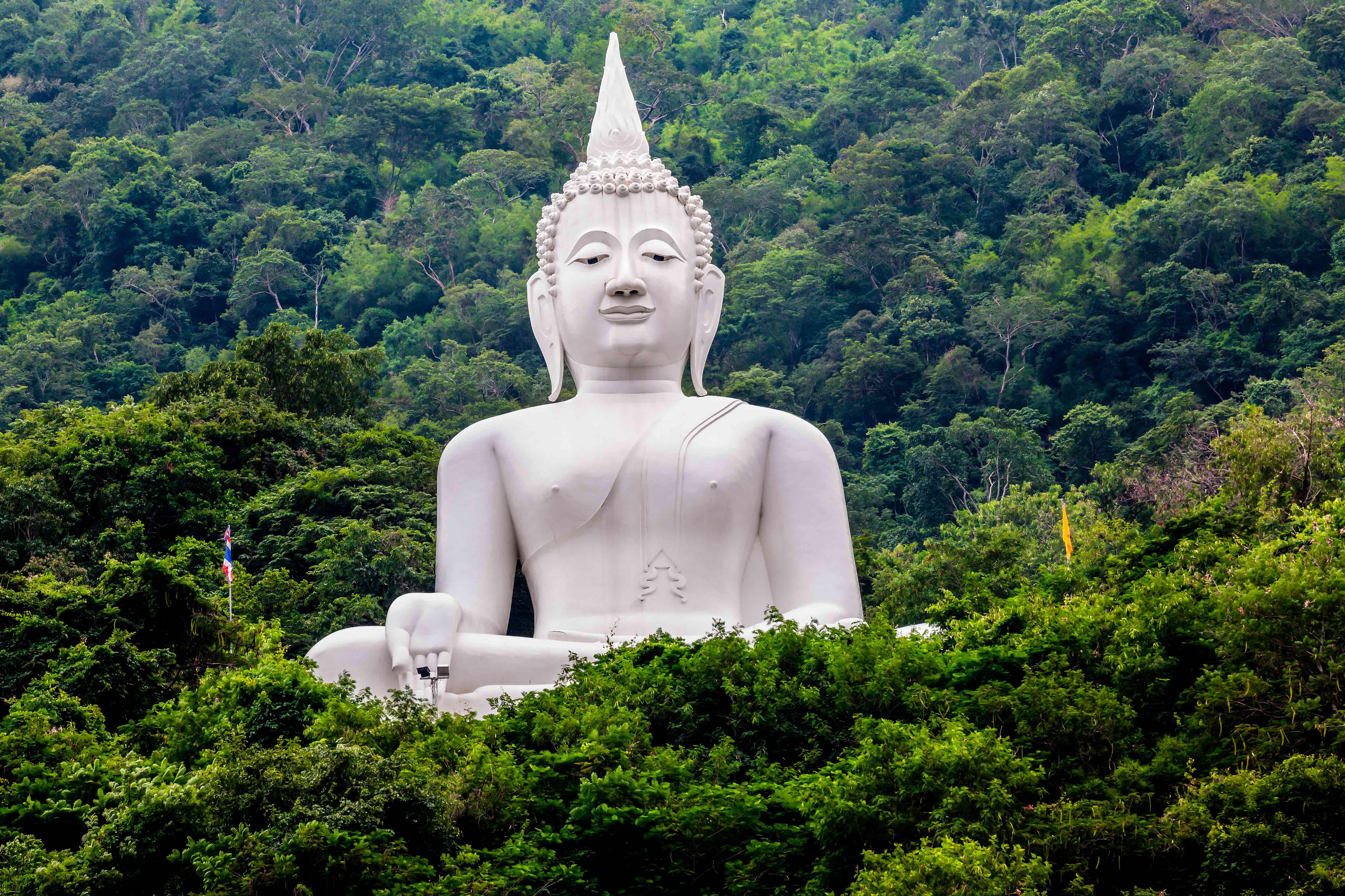 Mural Medida Personalizada