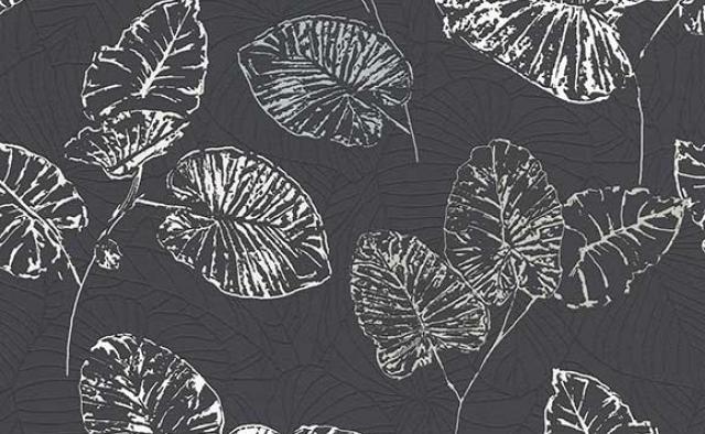 Papel Tapiz Catálogo Instawalls