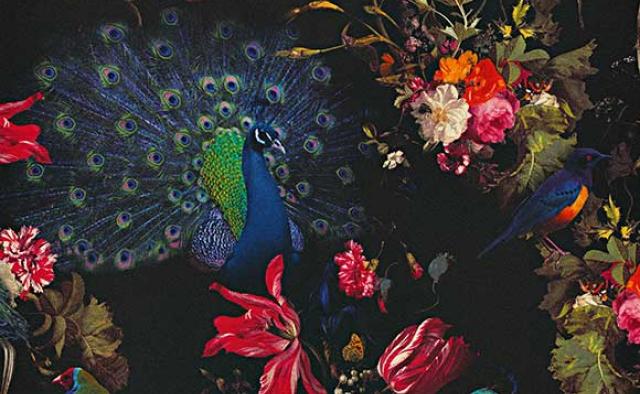 Papel Tapiz Catálogo Instawalls