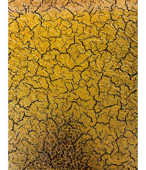 Papel Tapiz, Catálogo Midas