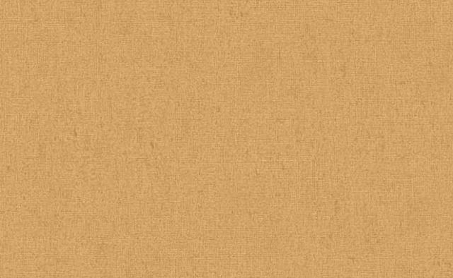 Papel Tapiz Moderno Catálogo Novelties