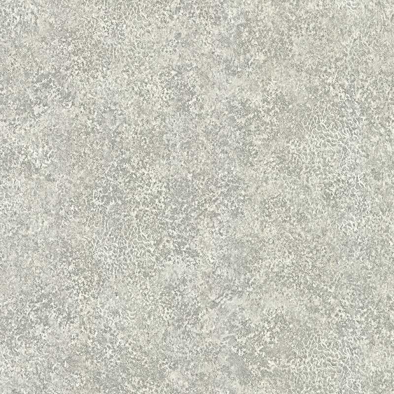 Papel Tapiz, Catálogo Palazzo